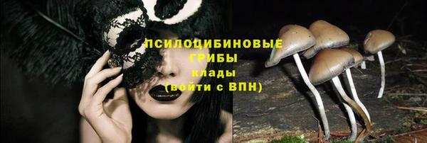 амф Осинники