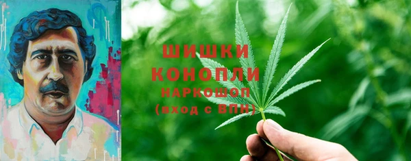 сатива Осташков