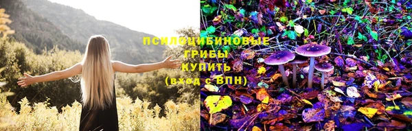 сатива Осташков