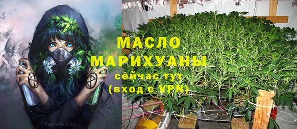 ешки Няндома