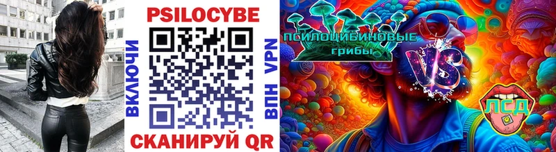 Купить где  Чёрмоз  Галлюциногенные грибы Psilocybine cubensis 